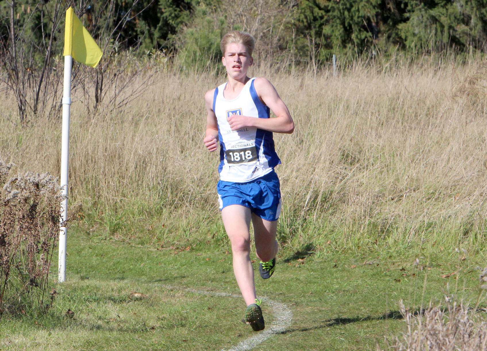 Division 3 Cross Country Sectionals in Boyceville 10-26-19